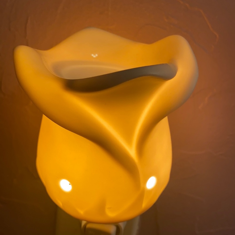 Scentsy Warmers
